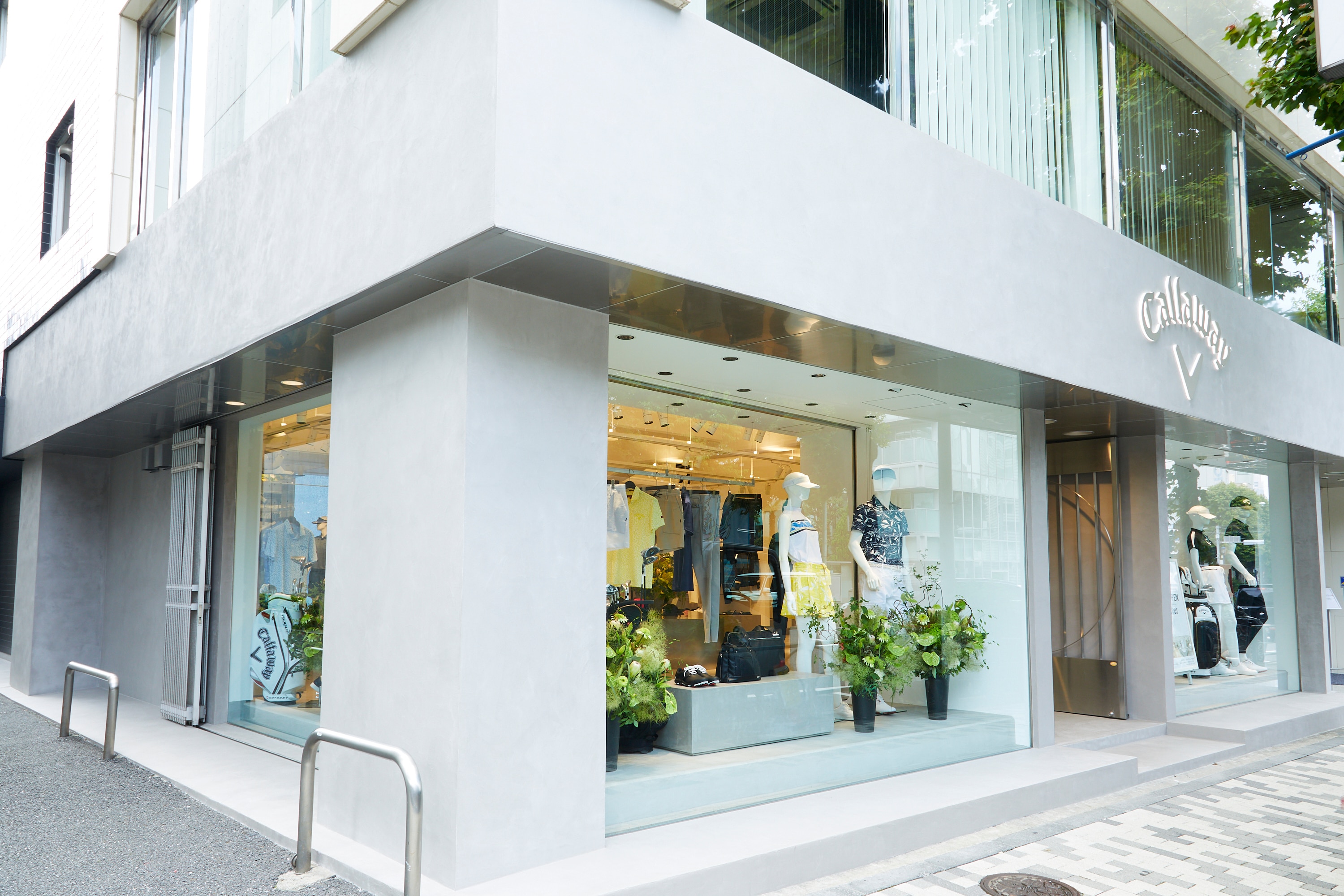 20220622_aoyama-153.jpg 20220622_aoyama-153.jpg